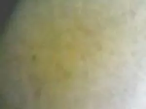 No videos gay latino ...